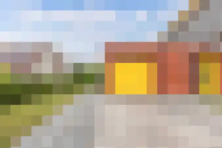 Junobaan 26 Franeker thumbnail 40