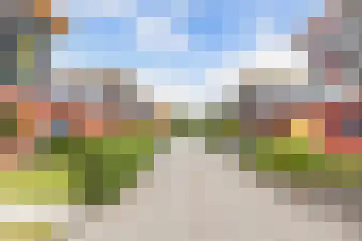 Junobaan 26 Franeker thumbnail 43