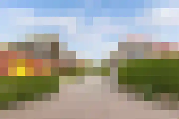 Junobaan 26 Franeker thumbnail 44