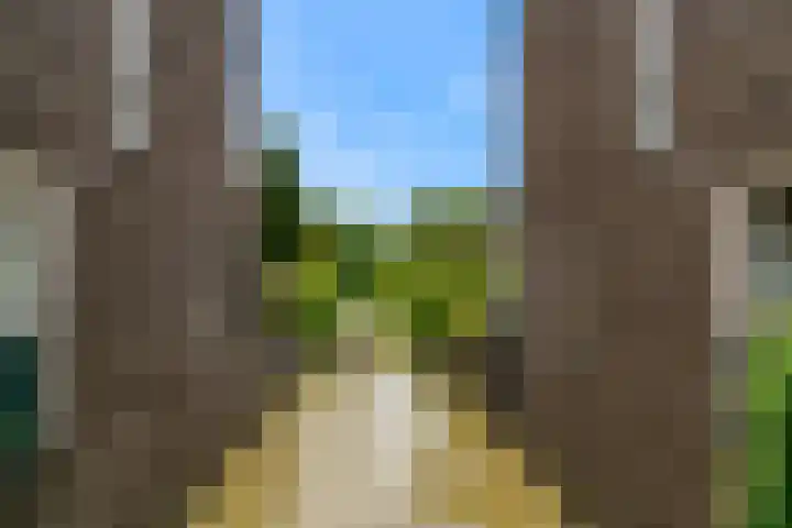 Junobaan 26 Franeker thumbnail 45