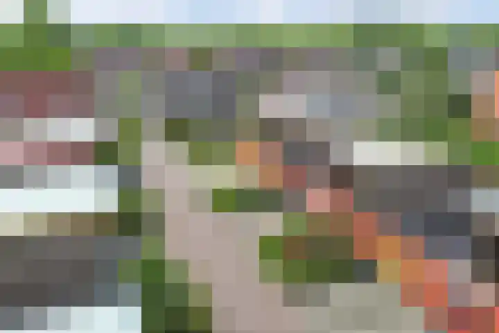 Junobaan 26 Franeker thumbnail 47