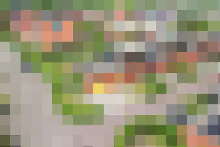 Junobaan 26 Franeker thumbnail 48