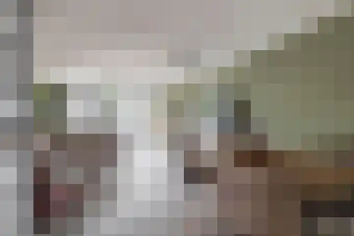 Junolaan 7 Waddinxveen thumbnail 11