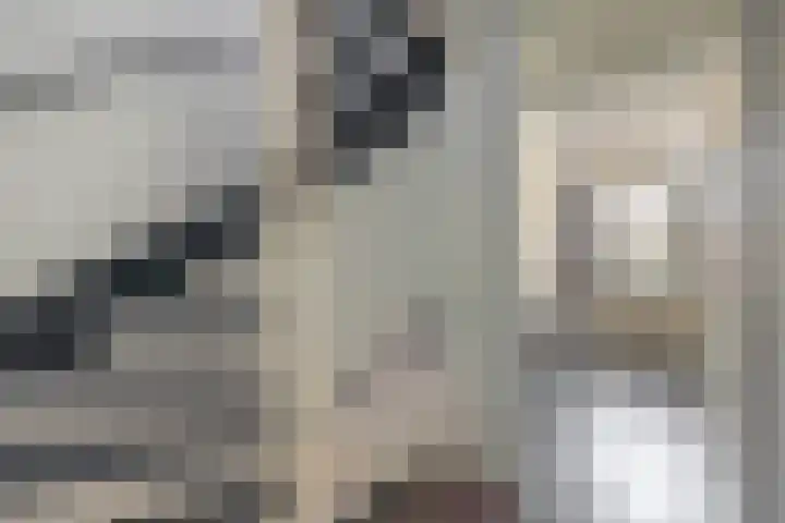 Junolaan 7 Waddinxveen thumbnail 25
