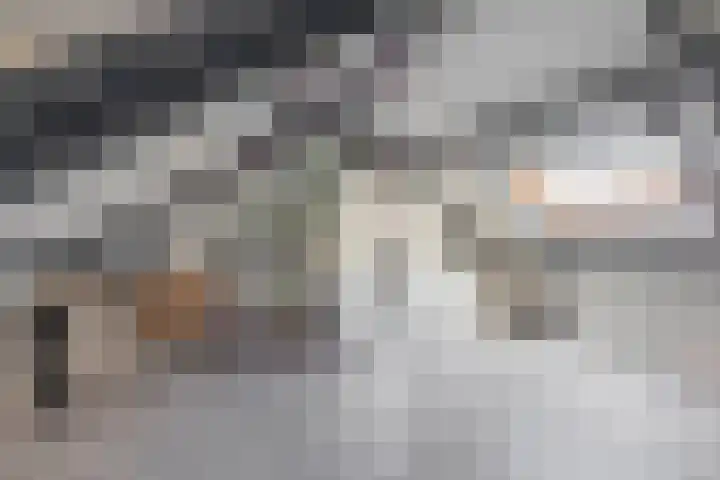 Junolaan 7 Waddinxveen thumbnail 27