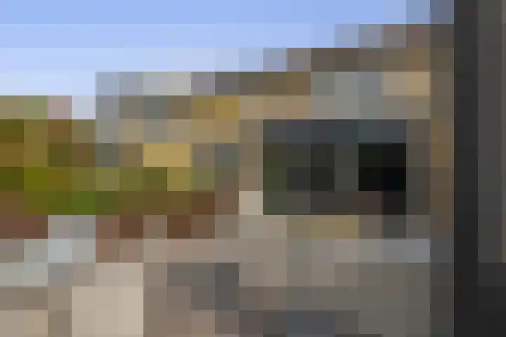Junolaan 7 Waddinxveen thumbnail 29