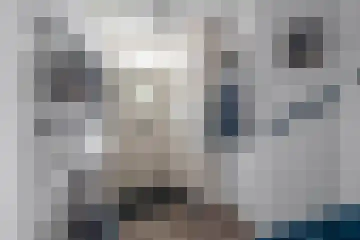 Junolaan 7 Waddinxveen thumbnail 5