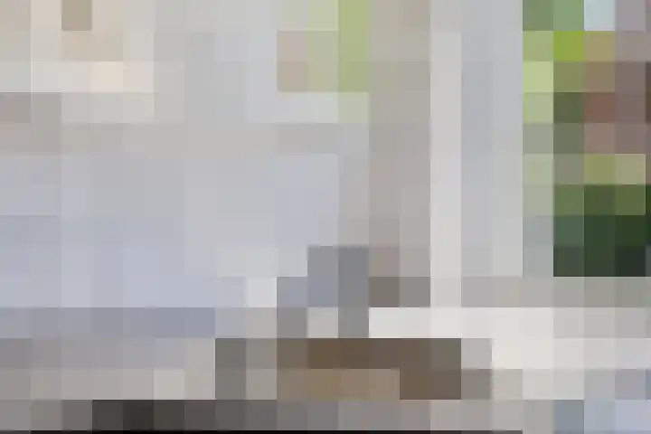 Jupiter 1 Ulft thumbnail 15