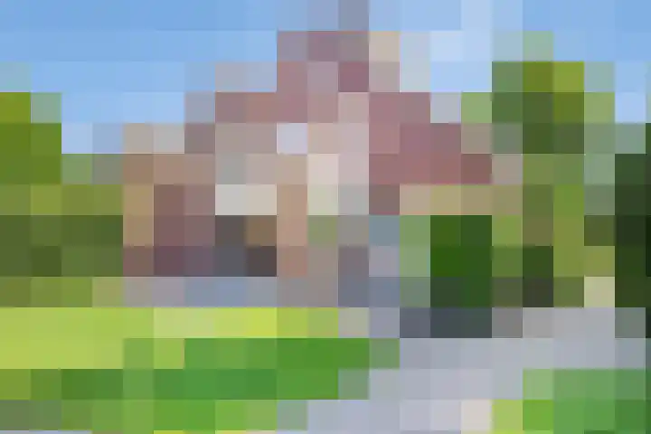 Jupiter 1 Ulft thumbnail 30