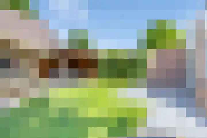 Jupiter 1 Ulft thumbnail 34