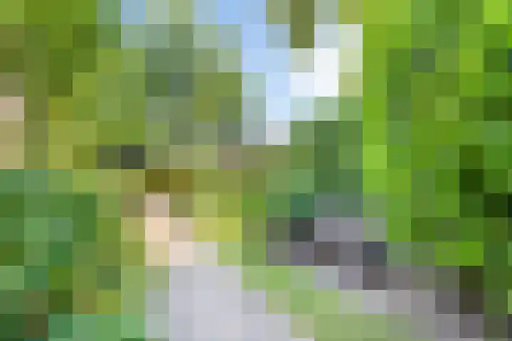 Jupiter 1 Ulft thumbnail 36