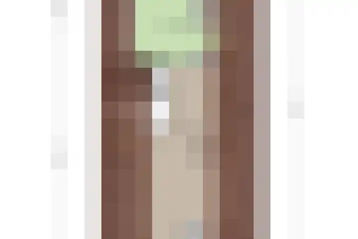 Jupiter 1 Ulft thumbnail 40