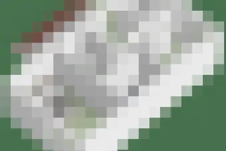 Jupiter 1 Ulft thumbnail 44