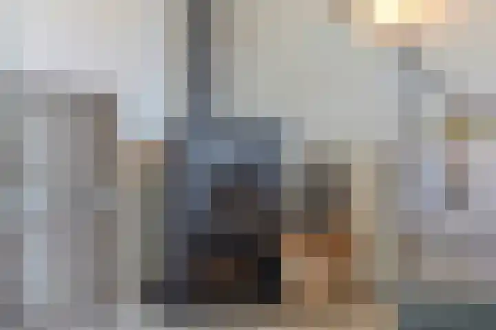 Jupiterhof 24 Oude-Tonge thumbnail 16