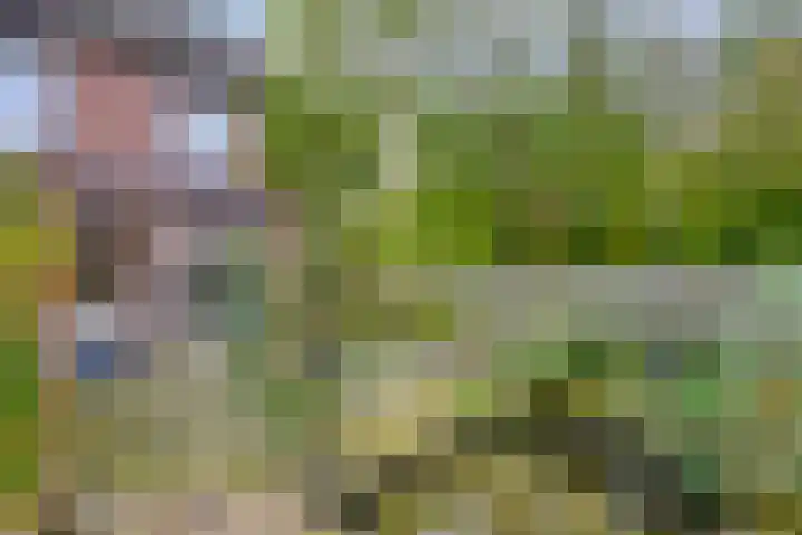 Jupiterhof 7 Maastricht thumbnail 16