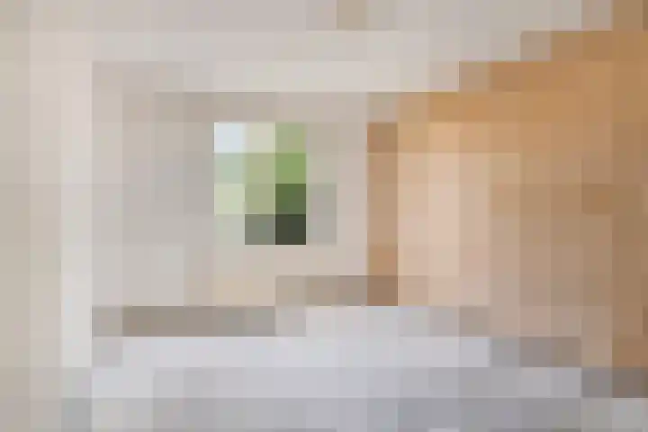 Jupiterhof 7 Maastricht thumbnail 19
