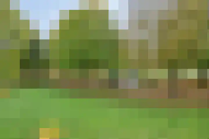 Jupiterhof 7 Maastricht thumbnail 42