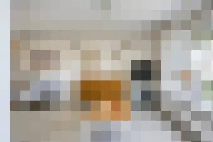 Jupiterstraat 21 Borne thumbnail 10