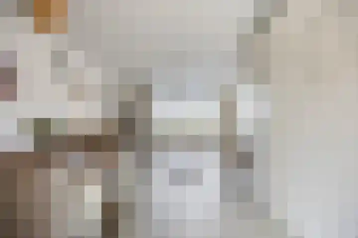 Jupiterstraat 21 Borne thumbnail 12