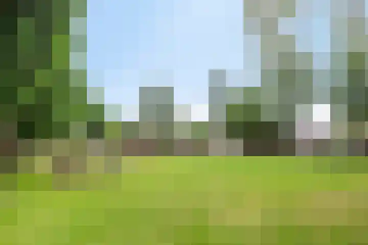 Jupiterstraat 21 Borne thumbnail 30
