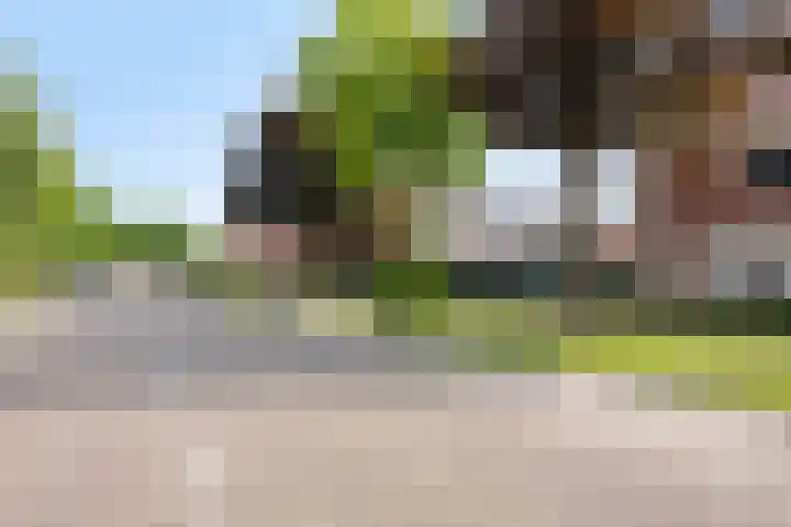 Jupiterstraat 21 Borne thumbnail 31