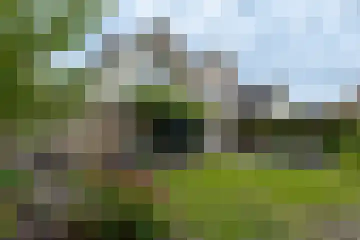 Jupiterstraat 27 Assen thumbnail 71