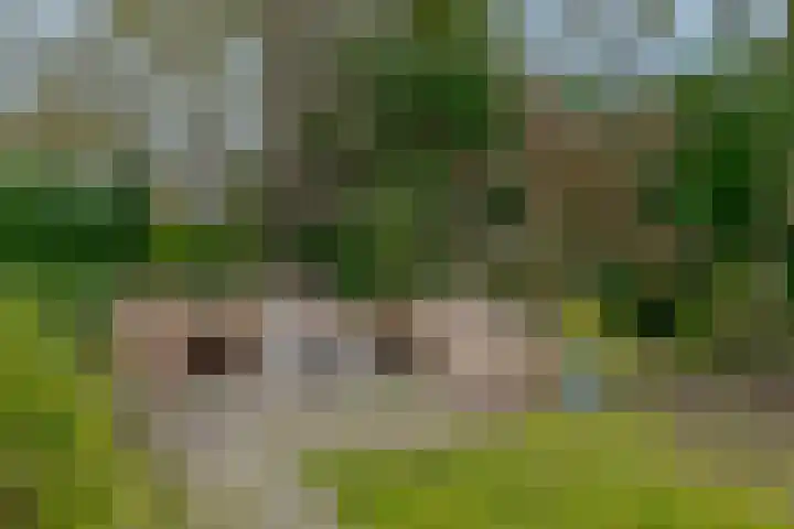 Jupiterstraat 27 Assen thumbnail 75