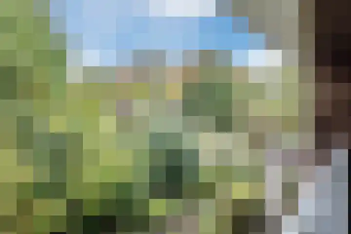 Jupiterweg 1 Culemborg thumbnail 36