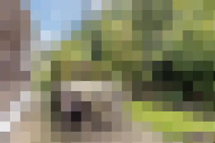 Jupiterweg 1 Culemborg thumbnail 46