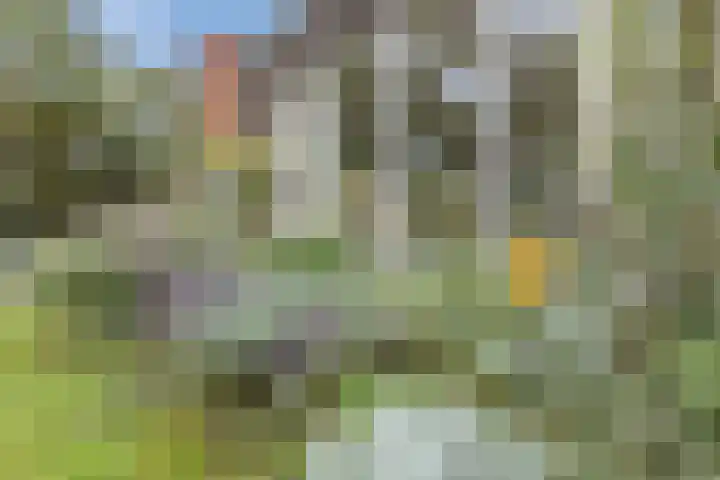 Jupiterweg 1 Culemborg thumbnail 49