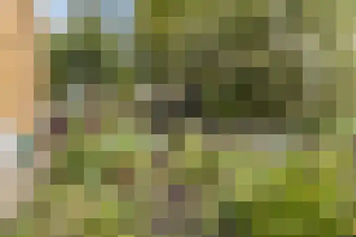 Jupiterweg 1 Culemborg thumbnail 51
