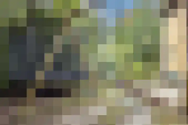Jupiterweg 1 Culemborg thumbnail 52