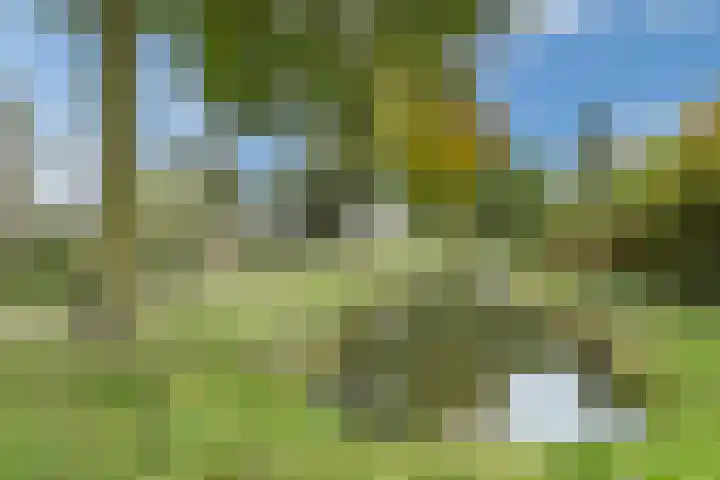 Jupiterweg 1 Culemborg thumbnail 54
