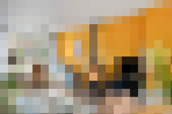 Jupiterweg 40 Oss thumbnail 14