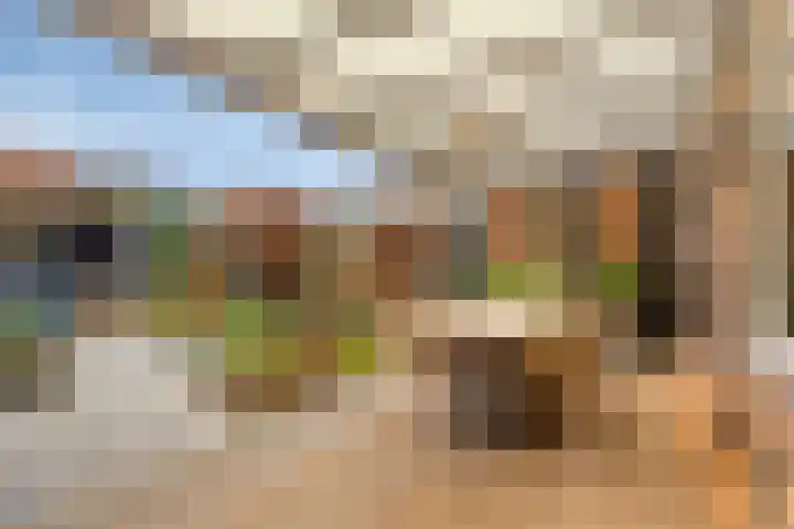 Jupiterweg 40 Oss thumbnail 4