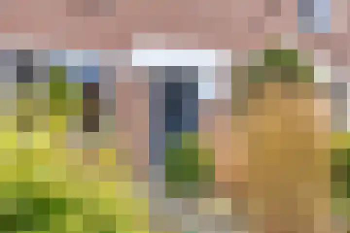 Jupiterweg 40 Oss thumbnail 5