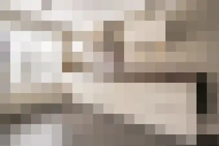 Jupiterweg 41 Oss thumbnail 10