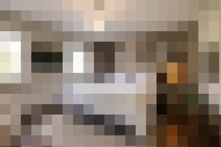 Jupiterweg 41 Oss thumbnail 11