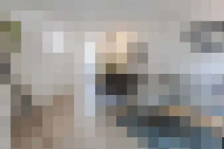 Juraweide 403 Tilburg thumbnail 4