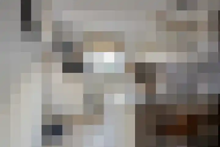 Jurgensstraat 45 Elsloo thumbnail 18