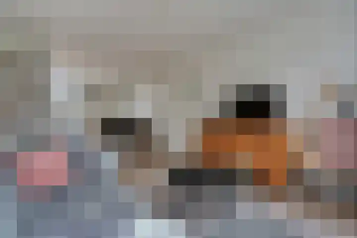 Justitie Bastion 19 Hasselt thumbnail 14