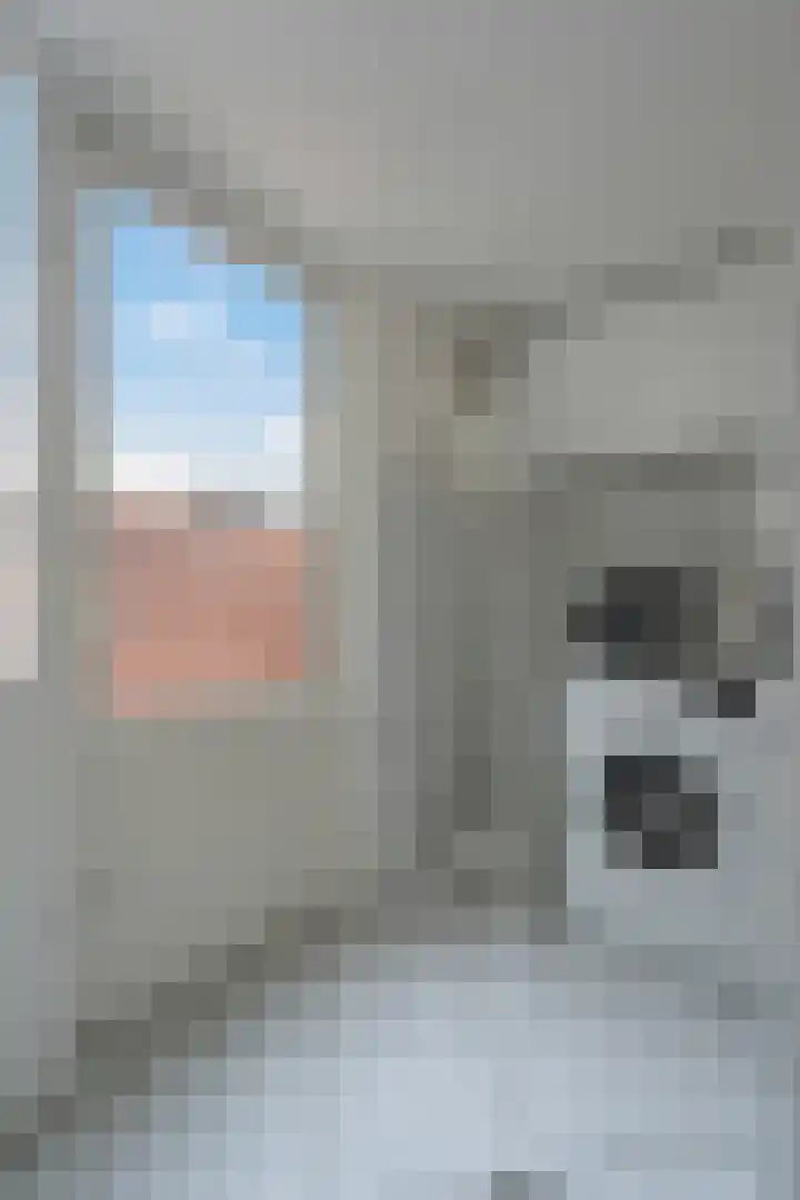 Justitie Bastion 19 Hasselt thumbnail 21