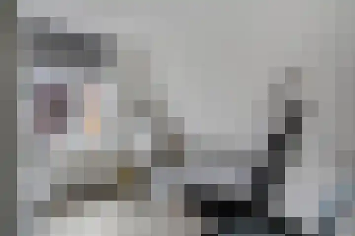 Justitie Bastion 19 Hasselt thumbnail 31