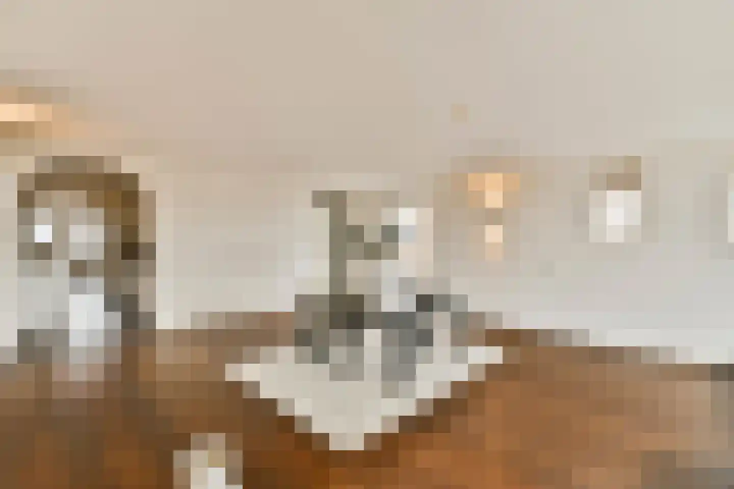Justpier 94 Zaandam thumbnail 9
