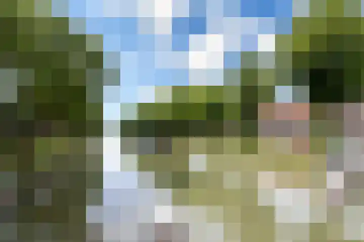 Jutfaseweg 203 E Utrecht thumbnail 28