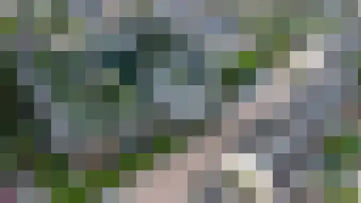Jutfaseweg 203 E Utrecht thumbnail 30