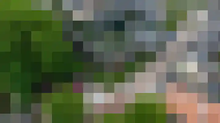 Jutfaseweg 203 E Utrecht thumbnail 32