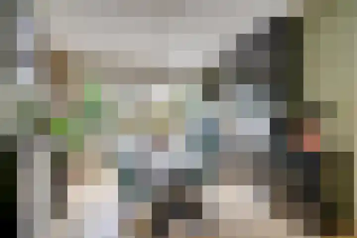 Jutfaseweg 85 Utrecht thumbnail 15