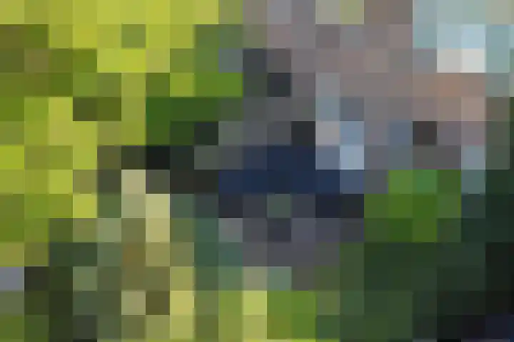 Jutfaseweg 85 Utrecht thumbnail 22
