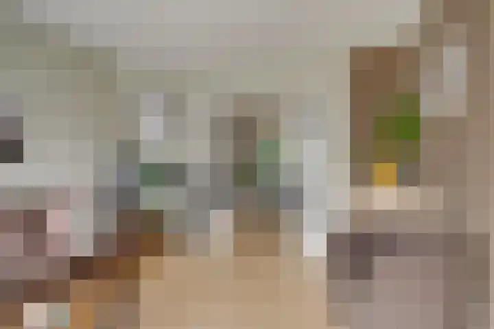 Jutfaseweg 85 Utrecht thumbnail 7
